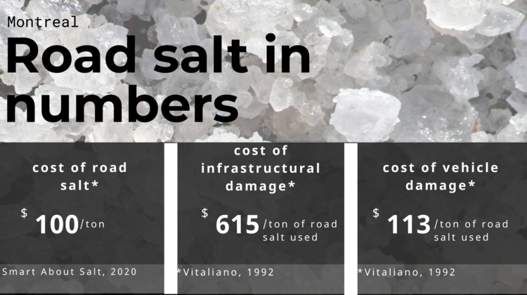 road salt cost