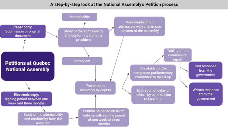 A detailed process of how petitions work