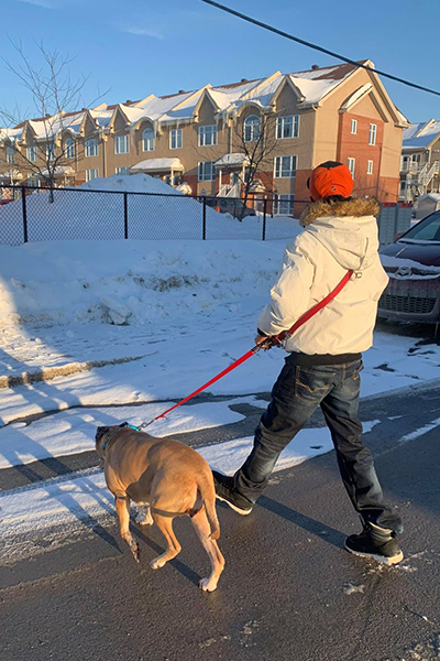 Pradel Clements walks his dog in Laval.