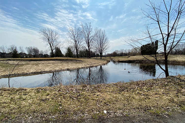 A pond in a Candiac golf course