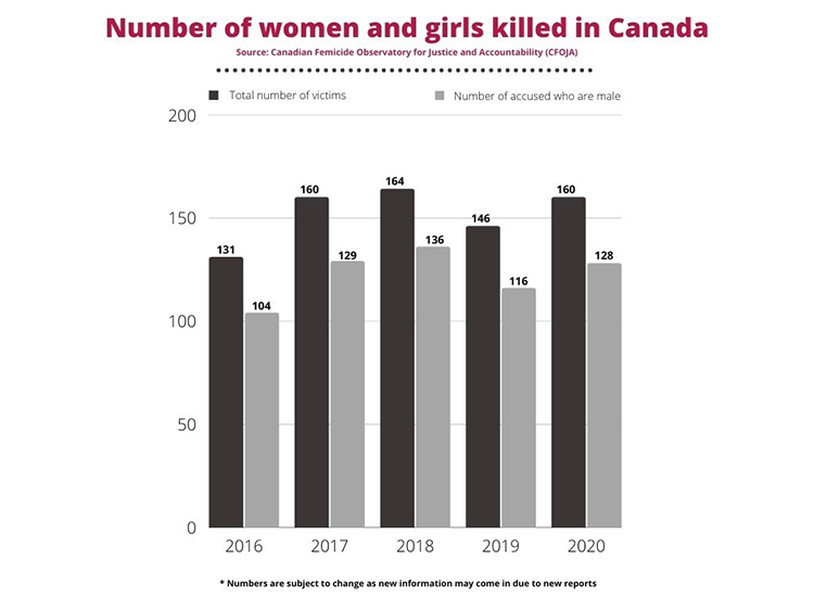 An infographic demonstrating the rise of domestic violence cases in Canada.