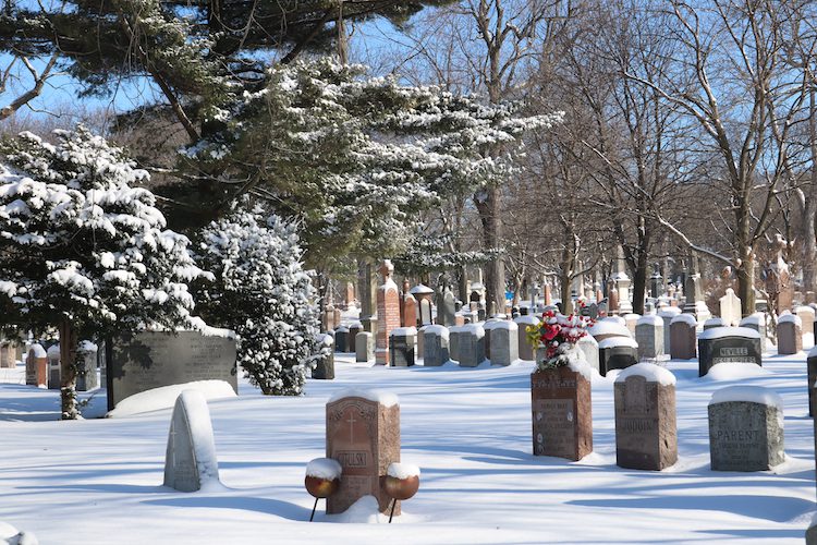 Gravestones in Notre Dame des Neiges Cemetery