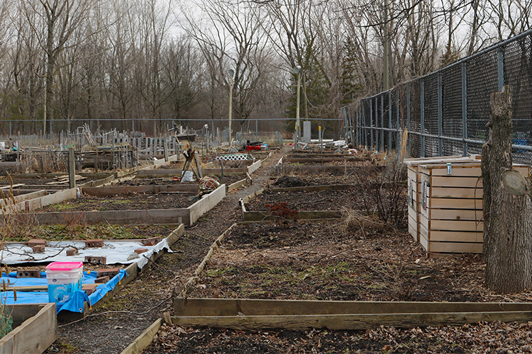 picture of a community garden on a cloudy day