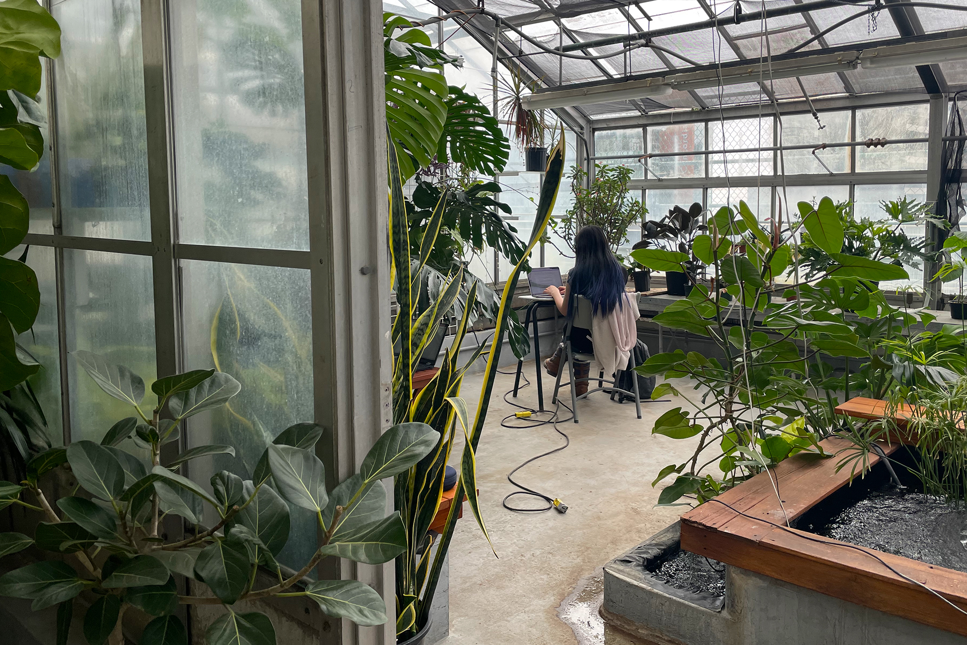 Woman sits at a table surrounded by plants at the Concordia Greenhouse