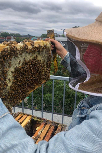 A bee keeper with bees