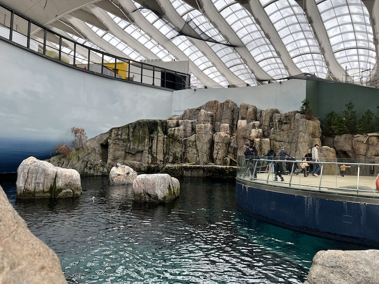 A look at the ‘natural’ environment that the Biodome recreates for its animals. Photo by Dylan Buvat.