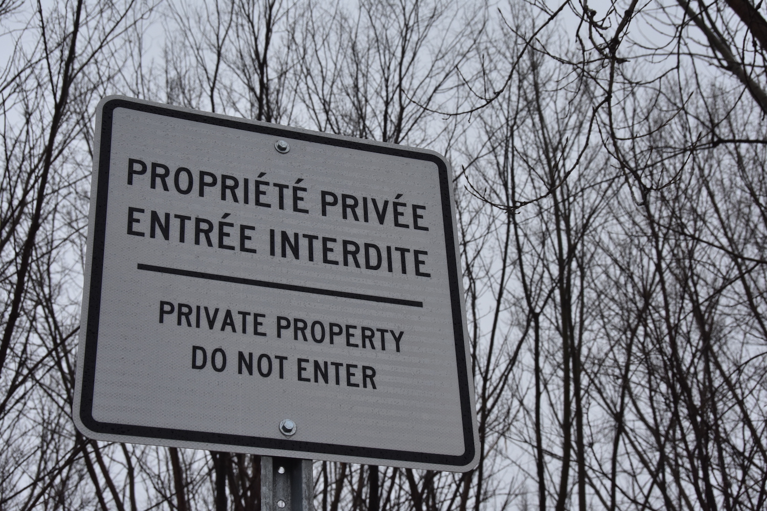 Private ownership of unregulated green spaces, especially in industrial areas like in Montreal’s east-end could complicate matters for government officials and residents wanting these spaces protected