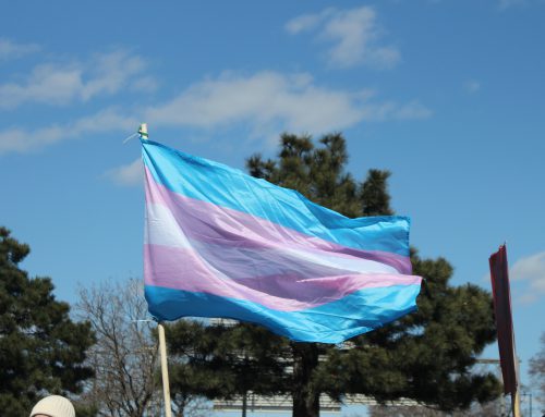 Quebec’s Trans Rights Landscape
